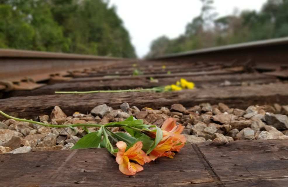 North Charleston-Hanahan train crash